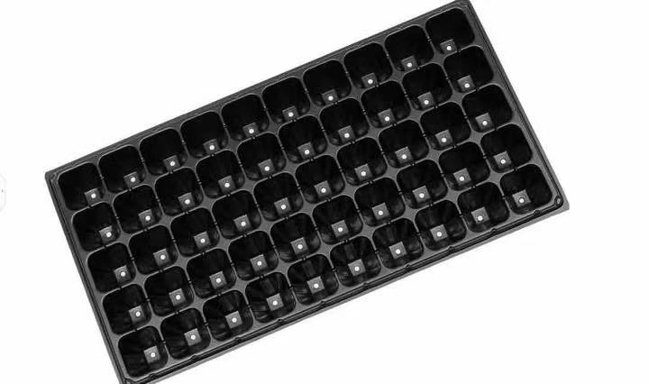 Home 50-hole seedling tray
