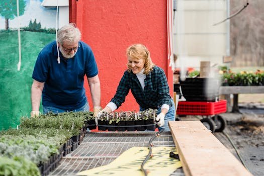 pexels photo 7728631 7728631 Senior couple gardening, arranging seedling trays in a bright outdoor setting with colorful backdrop.